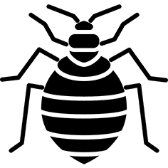 Bed Bugs