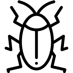 Cockroaches