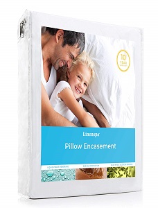 LINENSPA Pillow Encasement