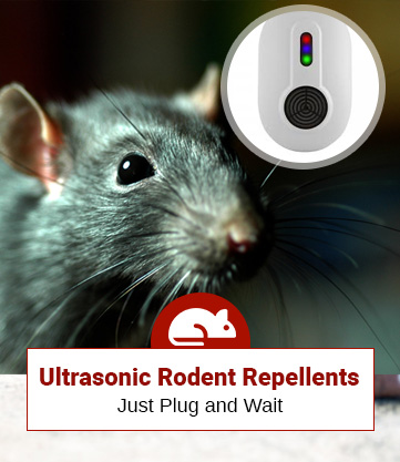 Check Out The Top 6 Ultrasonic Pest Repellents