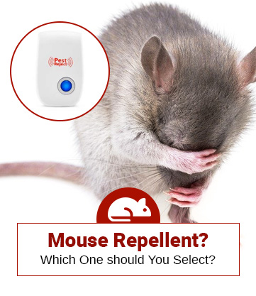 Review of Best Top 5 Mouse Repellents