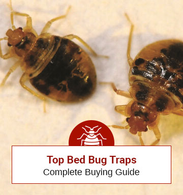 Top 6 Bed Bug Traps of The Year